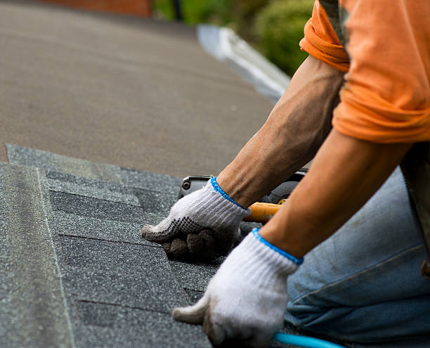 Best Roof Gutter Cleaning  in Little Silver, NJ
